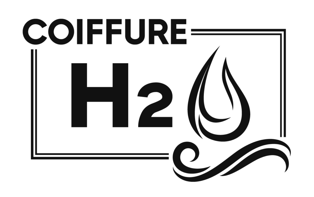 Schwiizchiste logo